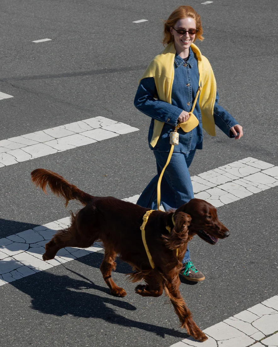 Laisse mains libres 4-en-1 – Jaune – 2 cm – Sunny Tails
