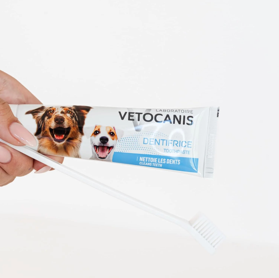 Kit dentaire complet chien - Vetocanis
