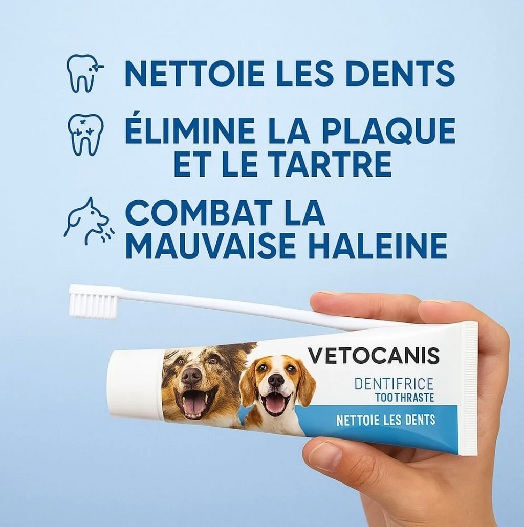 Kit dentaire complet chien - Vetocanis