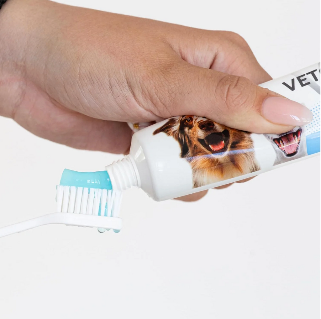 Kit dentaire complet chien - Vetocanis