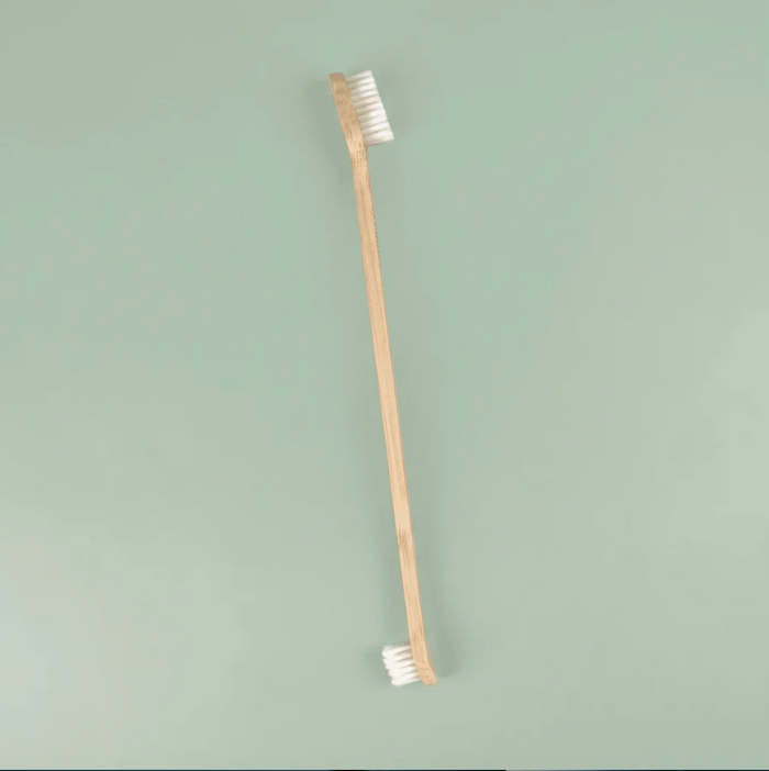 Brosse à dents en bambou pour chien - Bamboo Switch