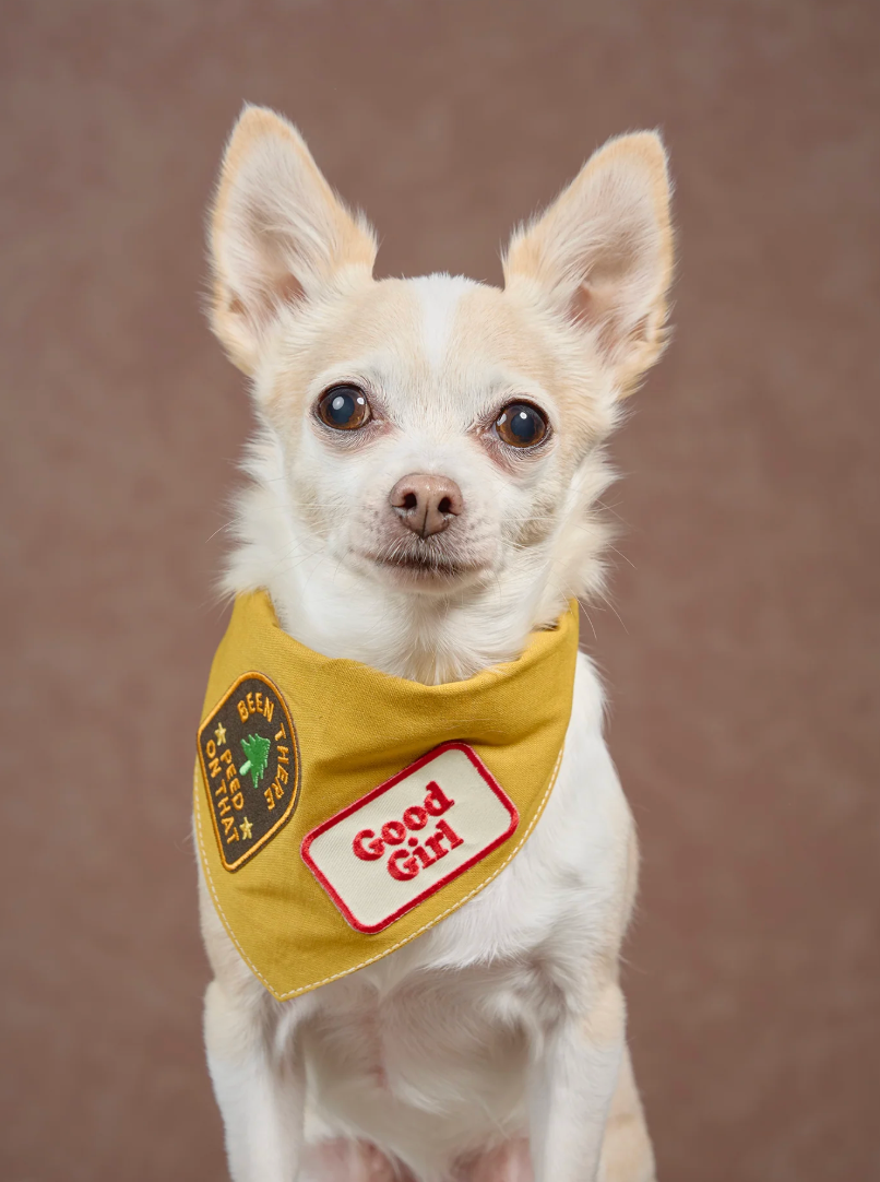 Good Girl – Patch thermocollant pour chien - Scout's Honour