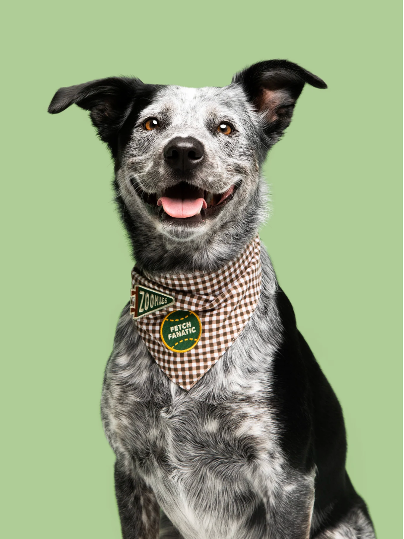 Fetch Fanatic – Patch thermocollant pour chien - Scout's Honour