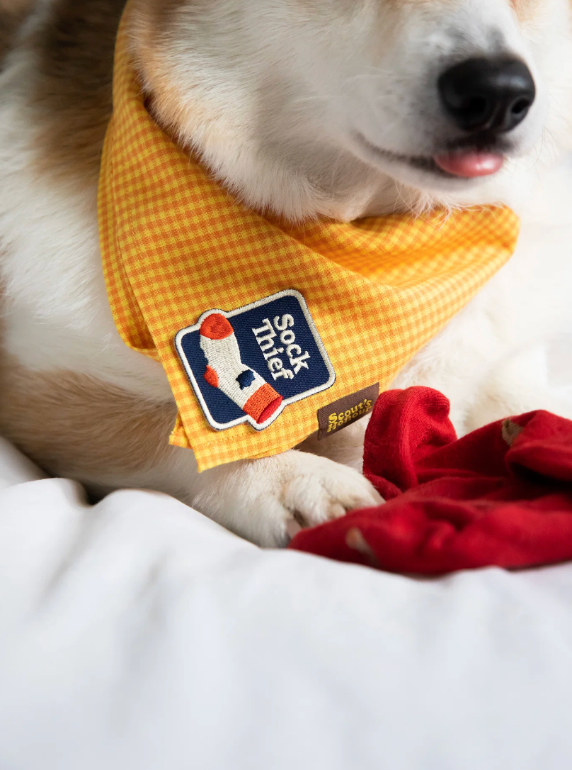 Sock Thief – Patch thermocollant pour chien - Scout's Honour