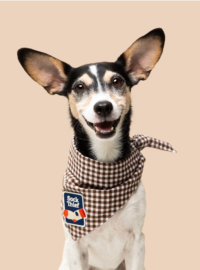 Sock Thief – Patch thermocollant pour chien - Scout's Honour
