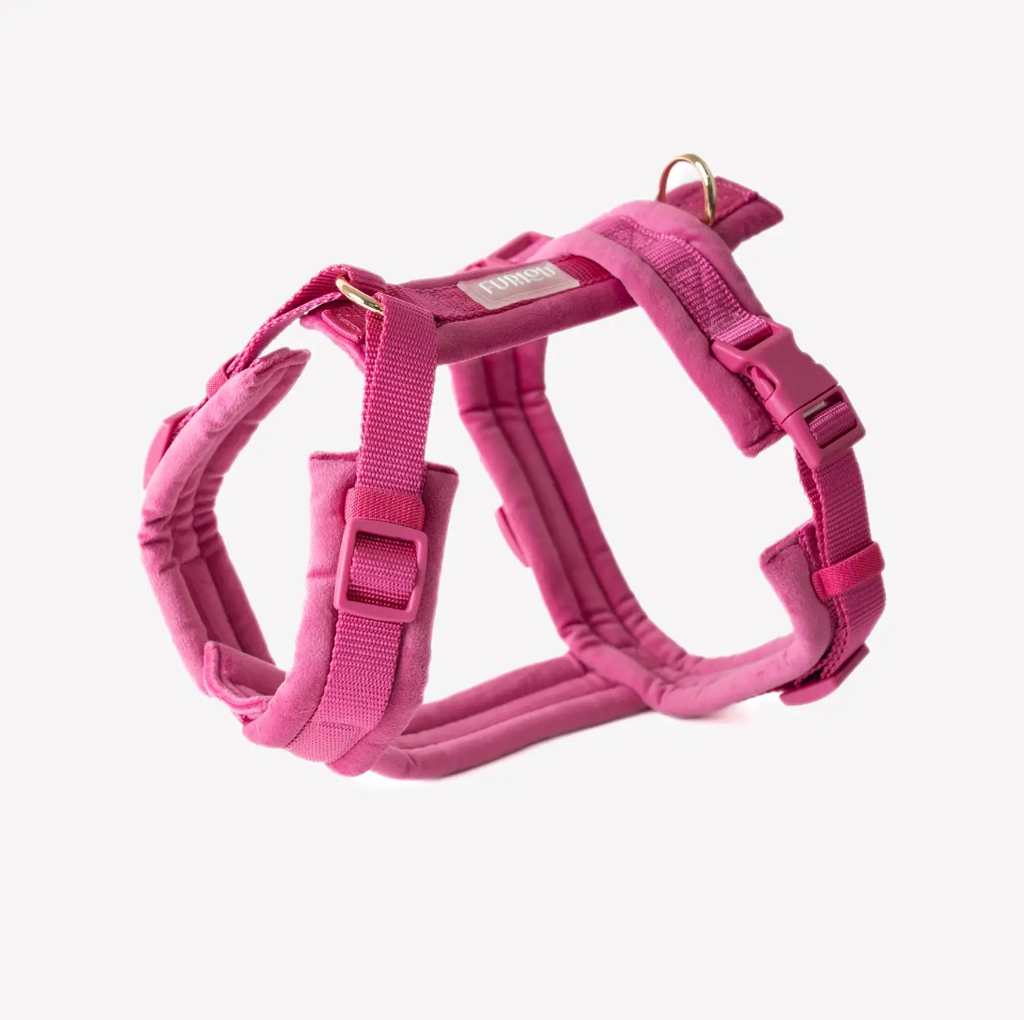 Harnais confort velours - Fuchsia - Furlou
