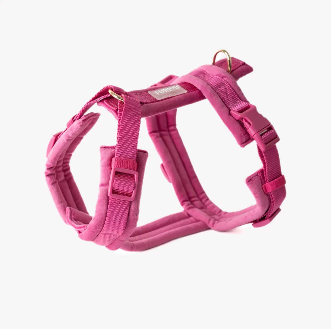 Harnais confort velours - Fuchsia - Furlou