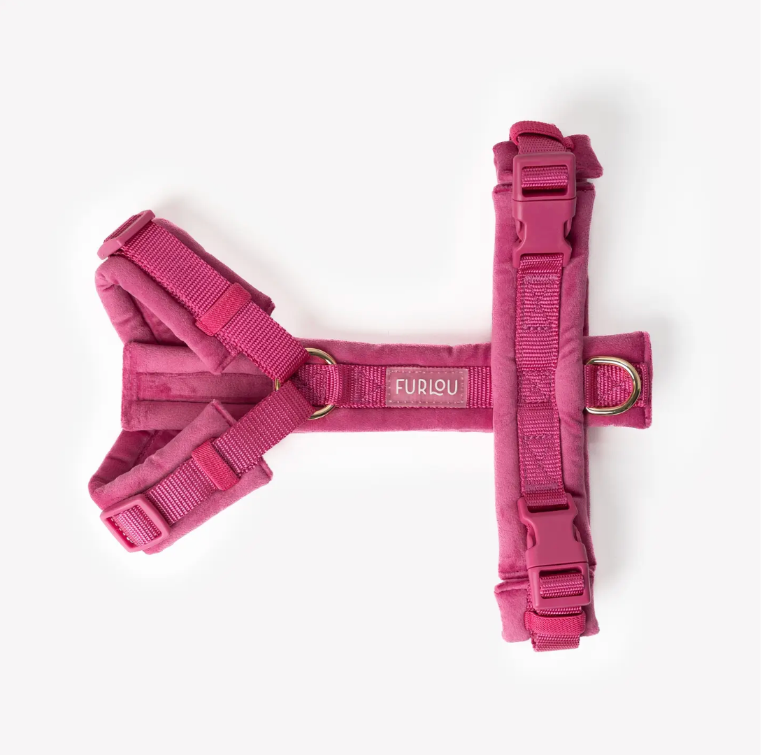 Harnais confort velours - Fuchsia - Furlou