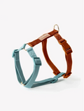 Harnais Rainbow - Bleu & Marron -  Furlou