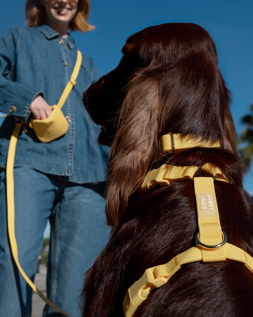 Harnais waterproof  - Jaune - Sunny Tails