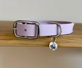 Collier chien - Mauve - Oscar & co