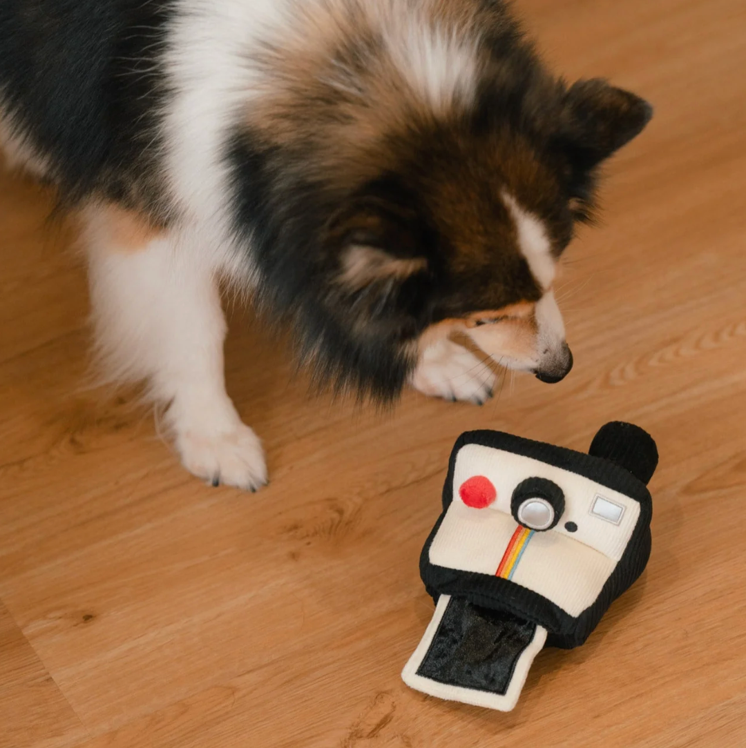 Jouet interactif appareil photo - Lambwolf Collective