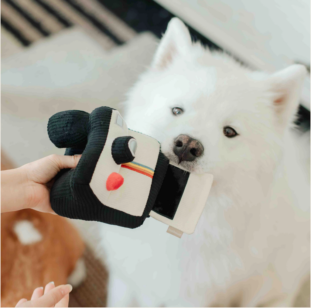 Jouet interactif appareil photo - Lambwolf Collective