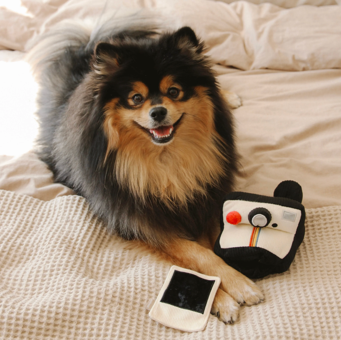 Jouet interactif appareil photo - Lambwolf Collective