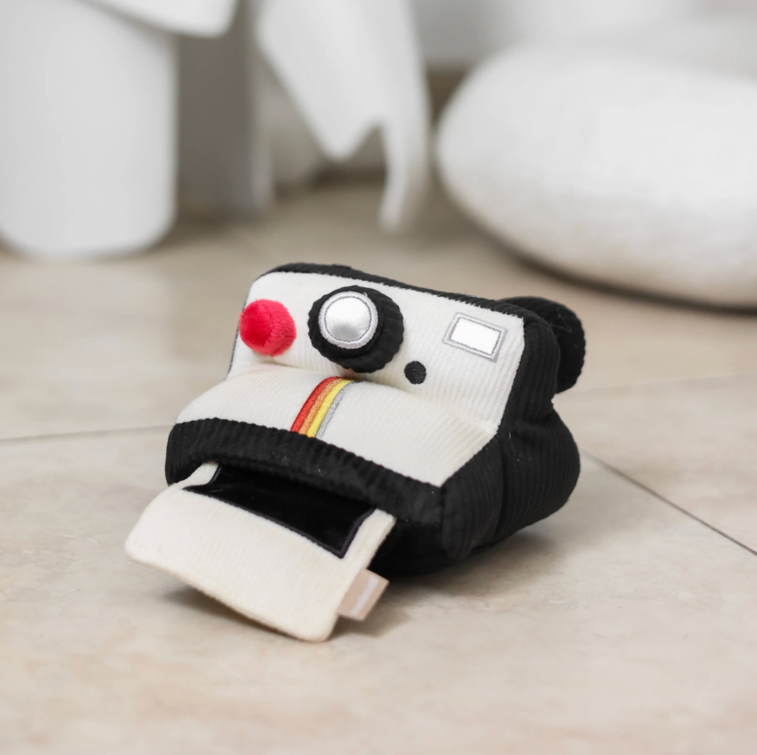 Jouet interactif appareil photo - Lambwolf Collective