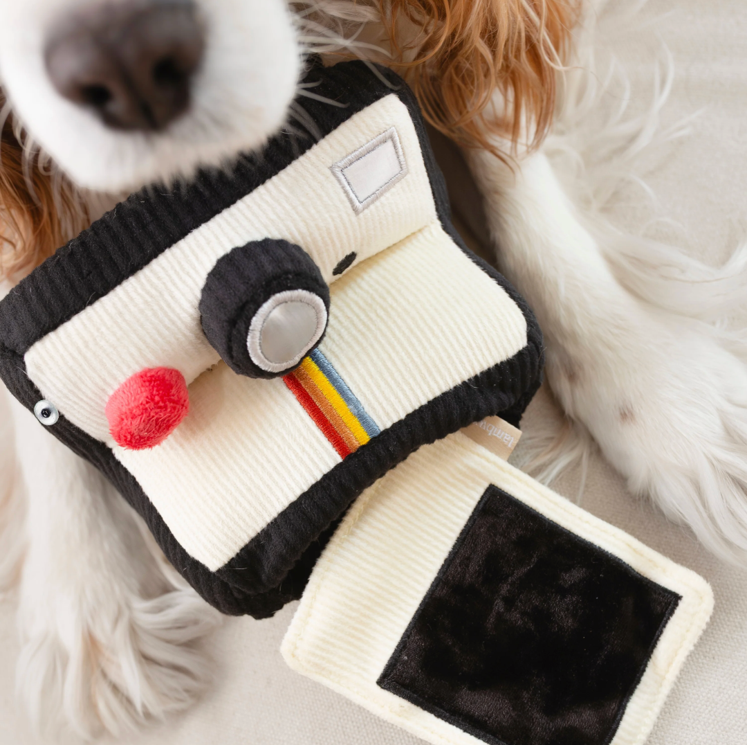 Jouet interactif appareil photo - Lambwolf Collective