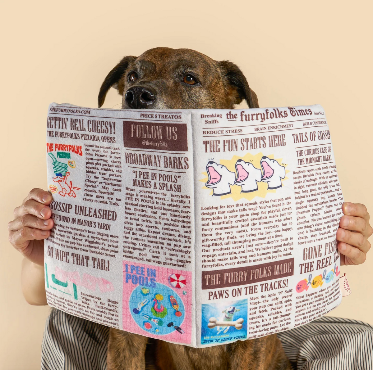 Journal de fouille - The Furry Folk