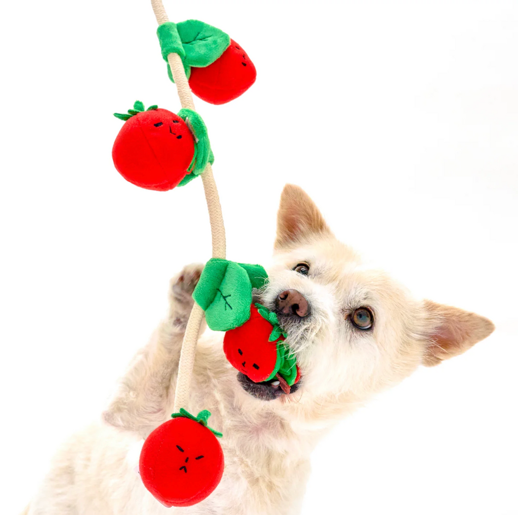 Jouet de fouille tomates cerises - The Furry Folk