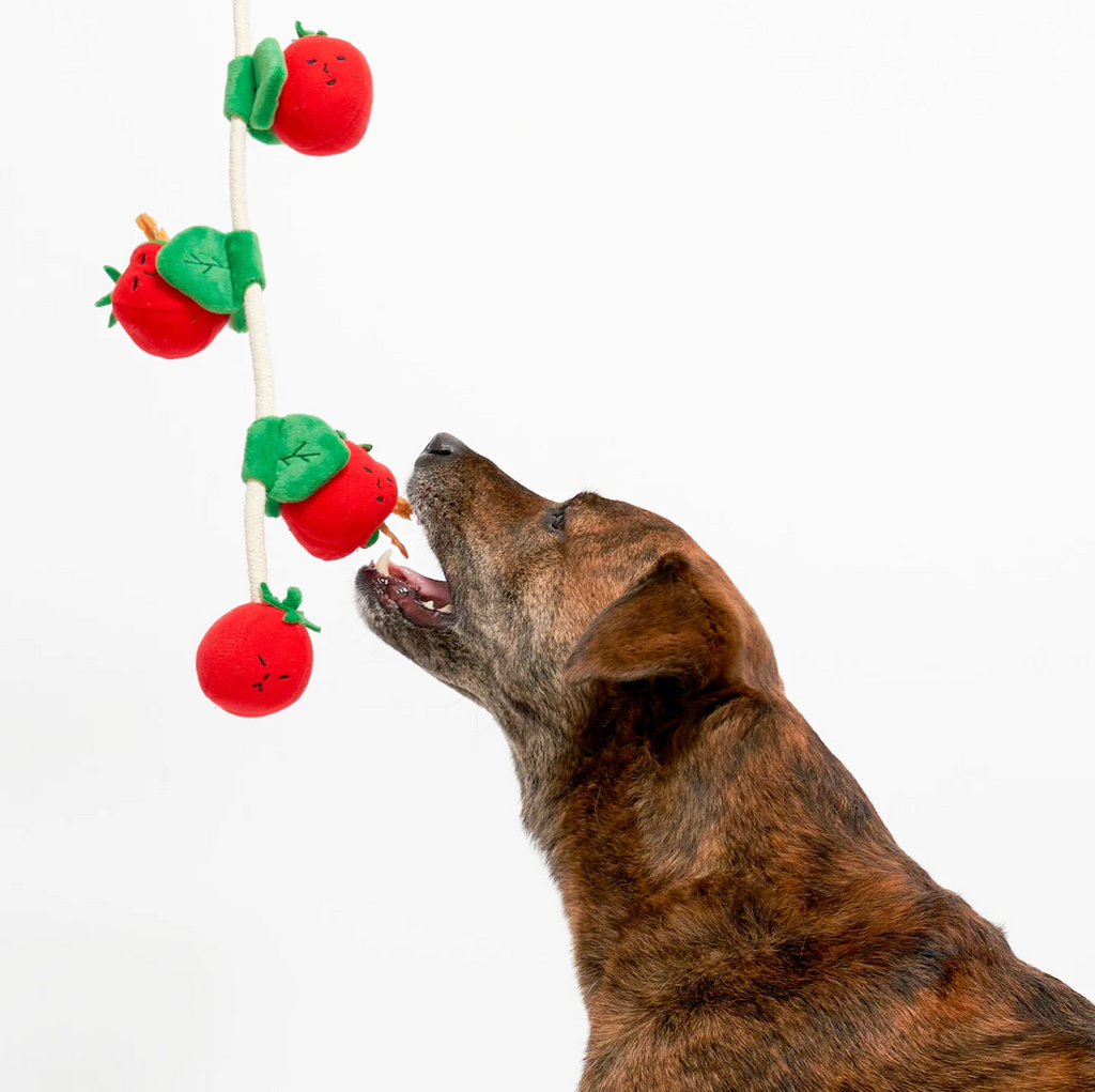 Jouet de fouille tomates cerises - The Furry Folk