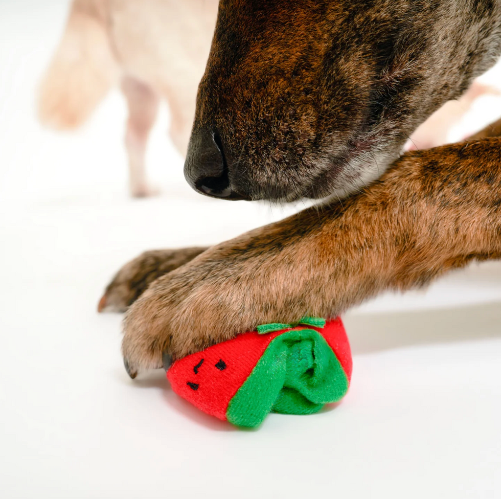 Jouet de fouille tomates cerises - The Furry Folk