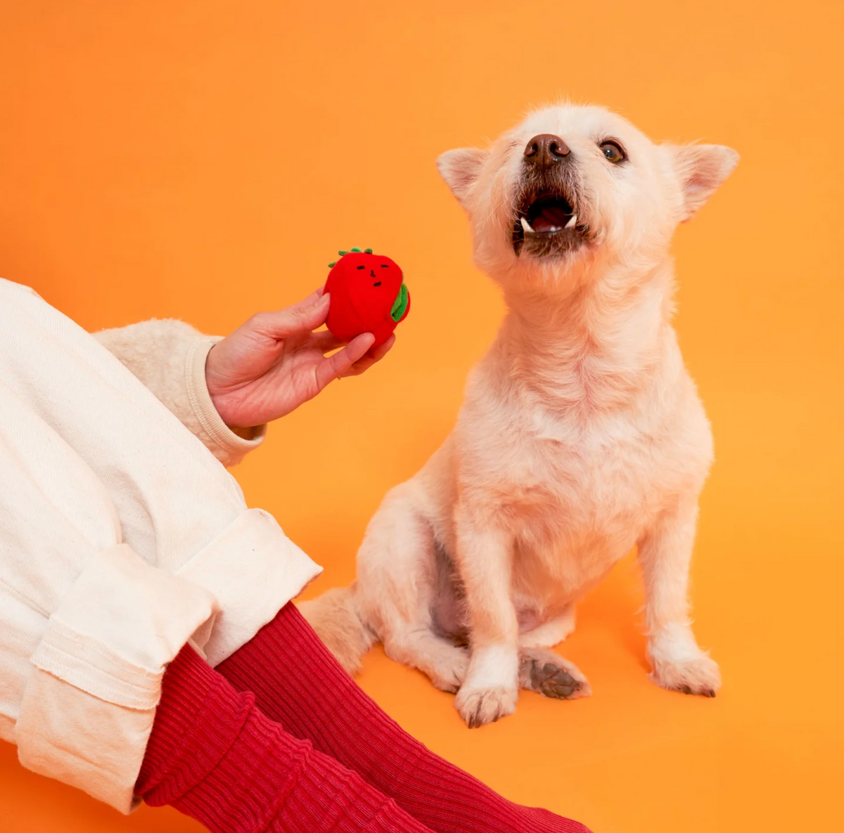 Jouet de fouille tomates cerises - The Furry Folk