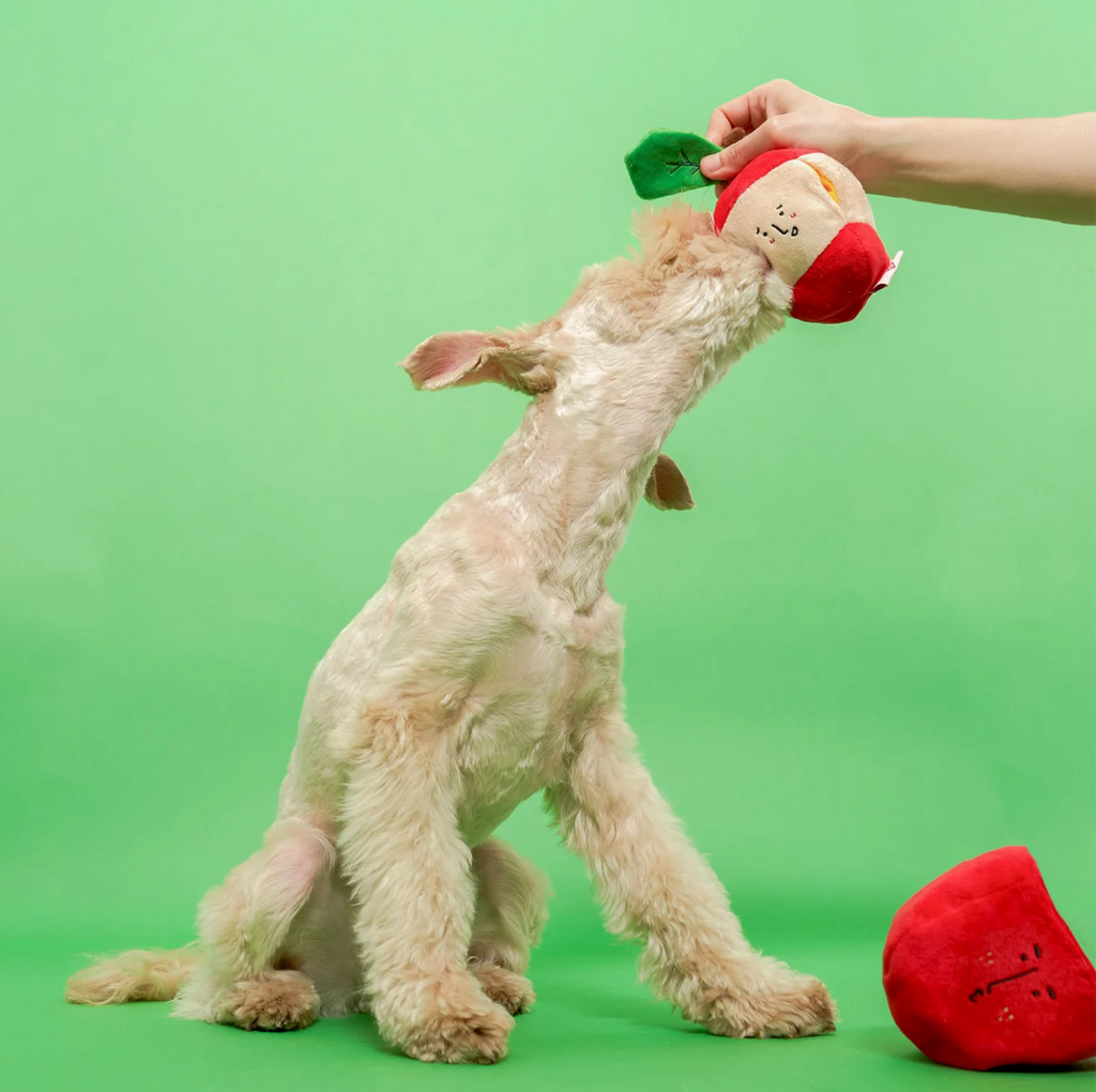 Jouet de fouille pomme - The Furry Folk
