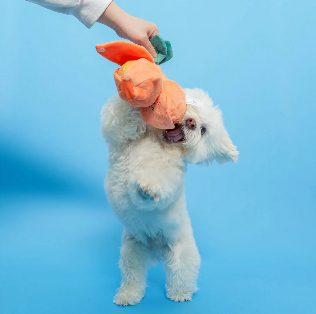 Jouet de fouille orange - The Furry Folk