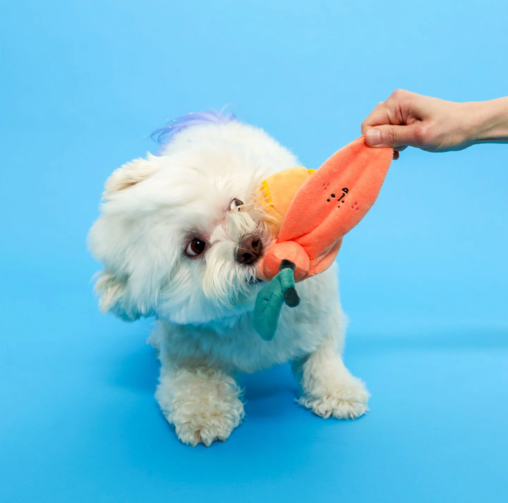 Jouet de fouille orange - The Furry Folk