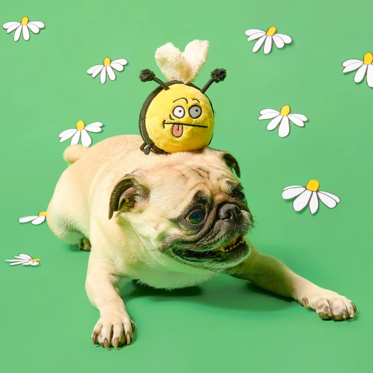 Jouet de fouille abeille - The Furry Folk
