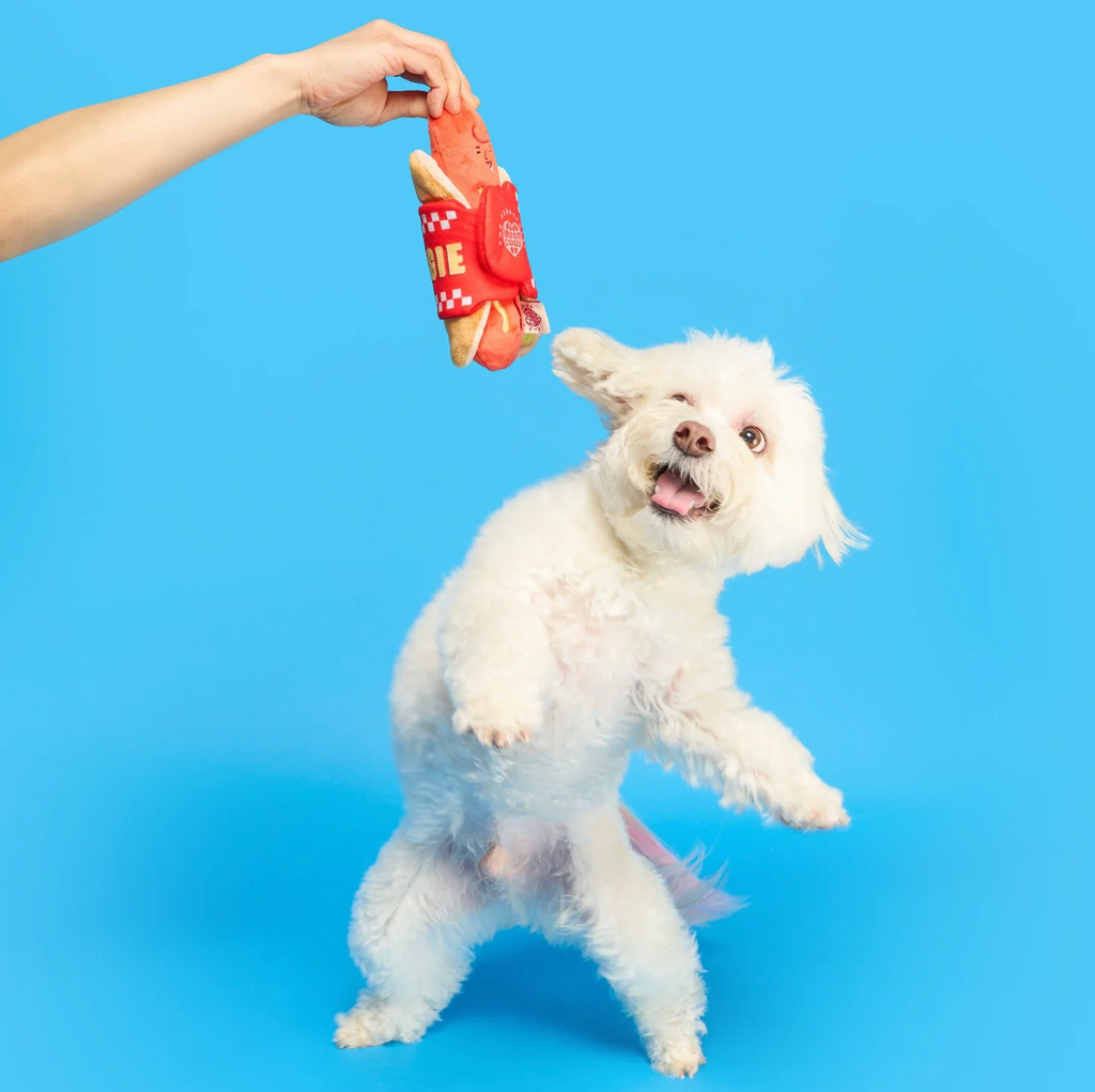 Jouet de fouille hot-dog - The Furry Folk