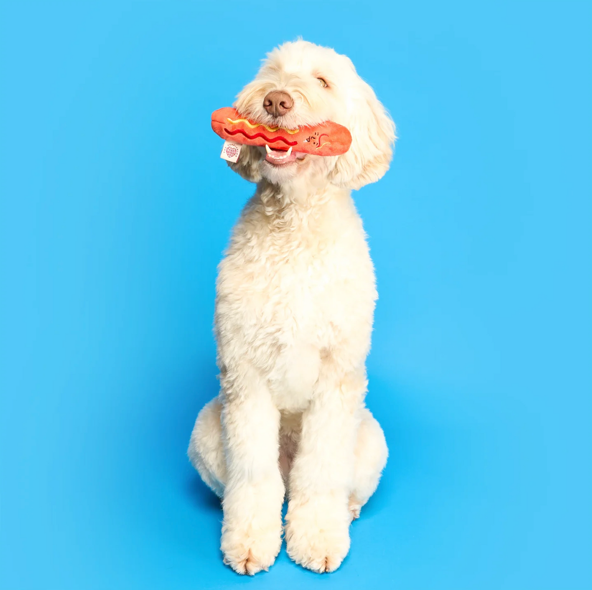 Jouet de fouille hot-dog - The Furry Folk