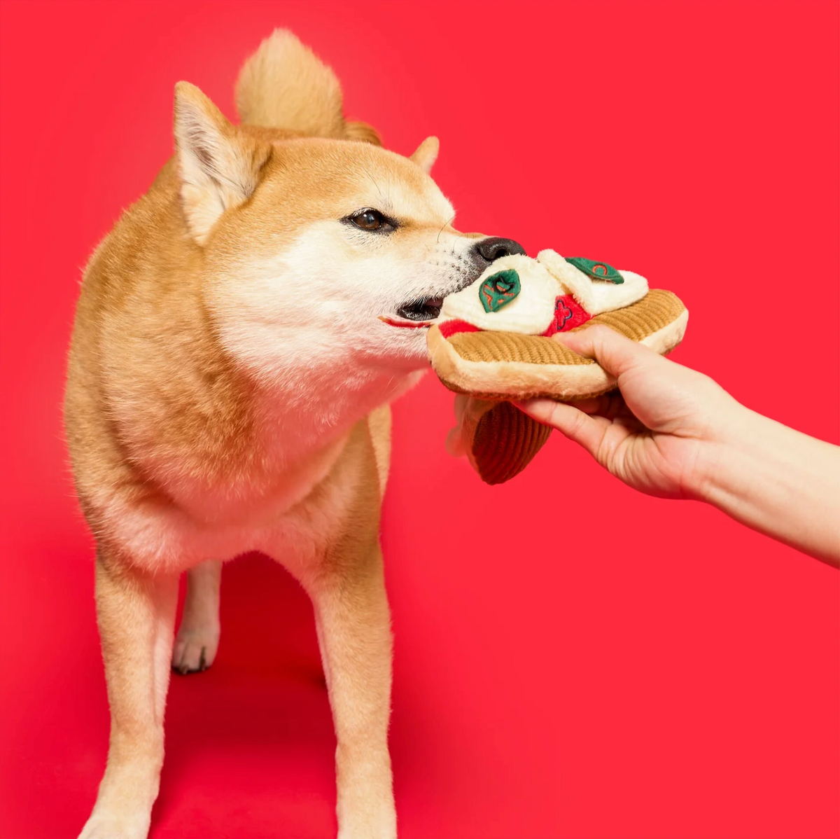 Jouet de fouille part de pizza - The Furry Folk