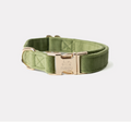 Collier chien - Velours vert - Furlou