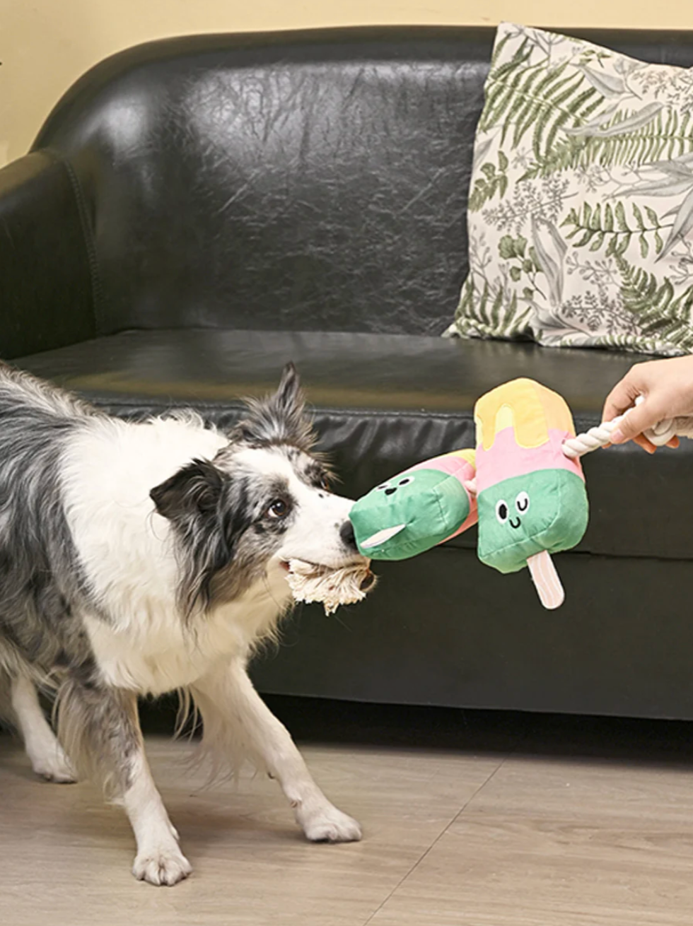 Peluche pour chien avec corde glace esquimau - HugSmart