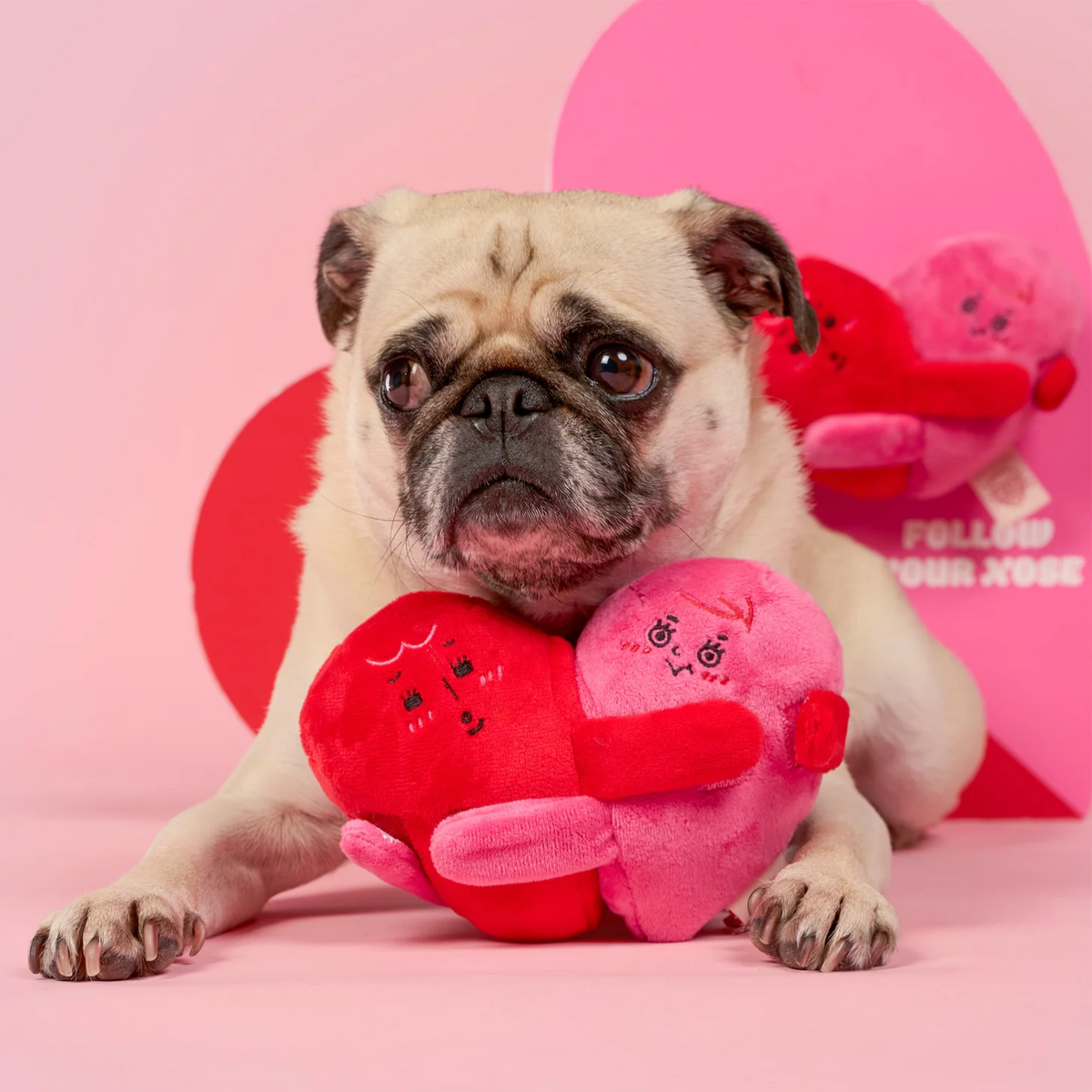 Coeur jouet de fouille chien - The Furry Folk