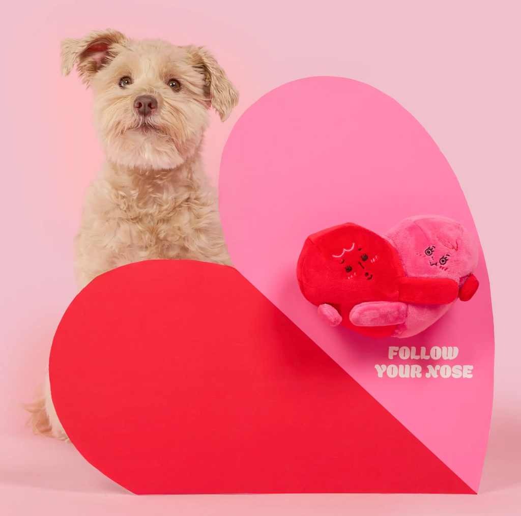 Coeur jouet de fouille chien - The Furry Folk