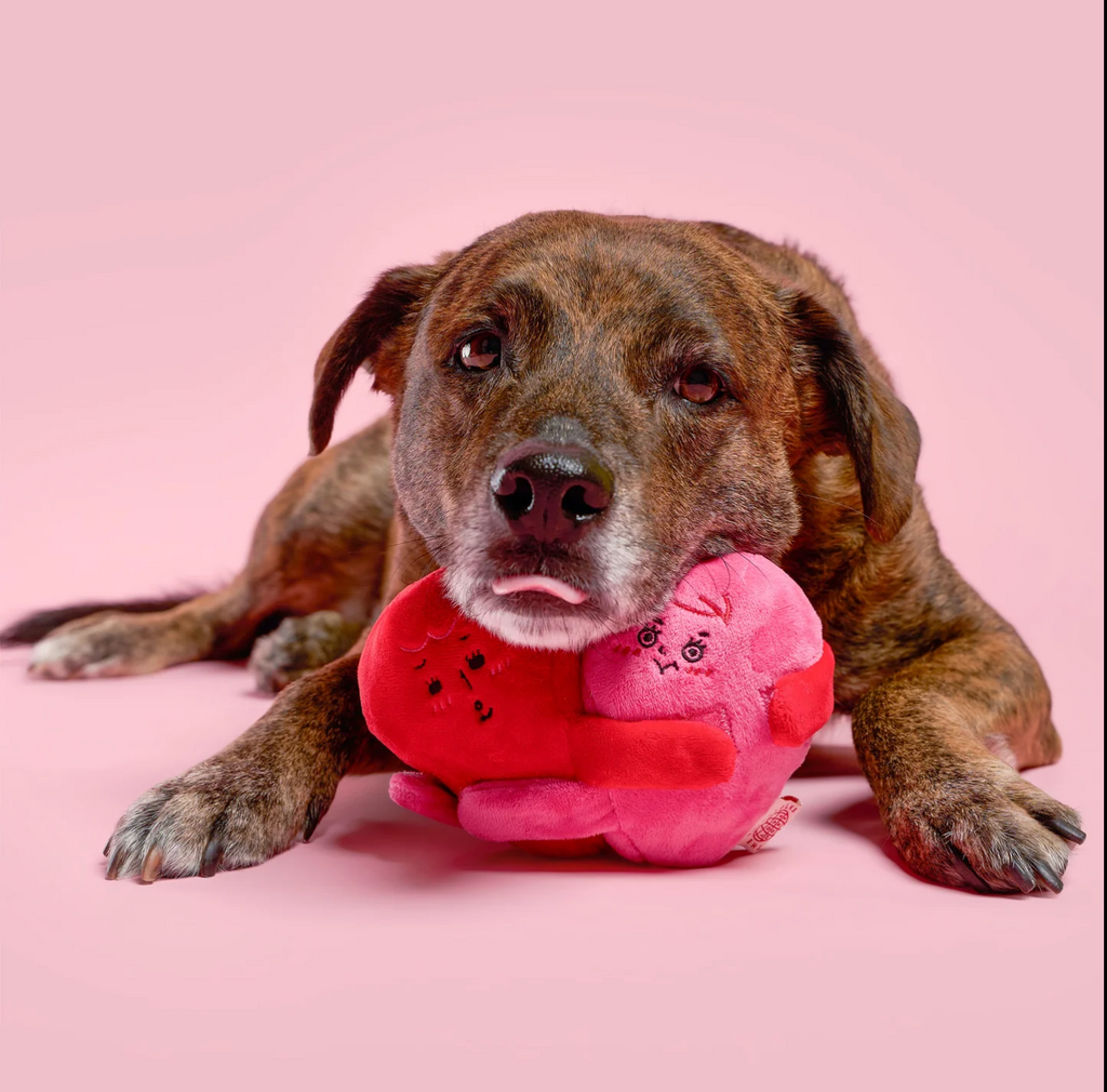 Coeur jouet de fouille chien - The Furry Folk