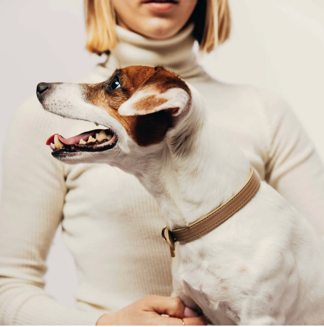 Collier similicuir vegan - Beige - Tobia Dog Studio