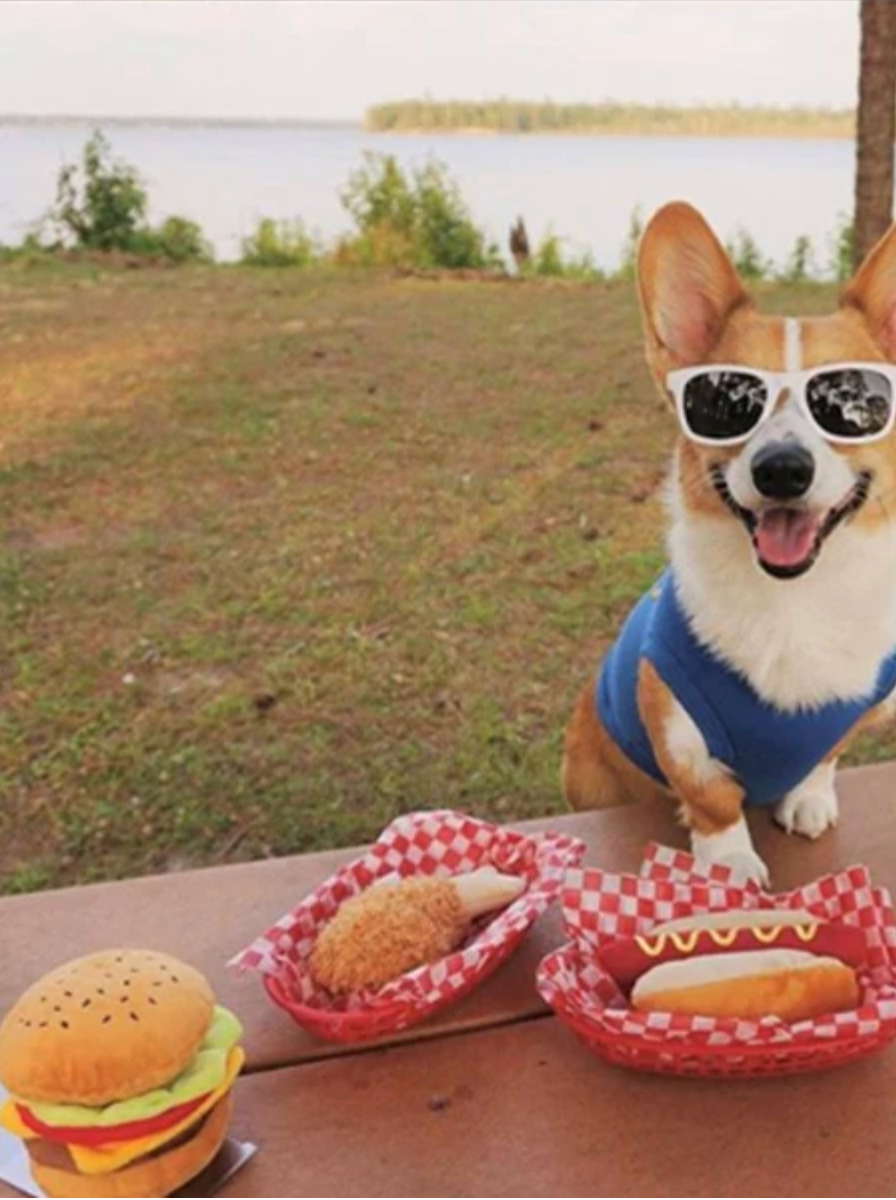 Peluche pour chien Hot Dog mini - P.L.A.Y