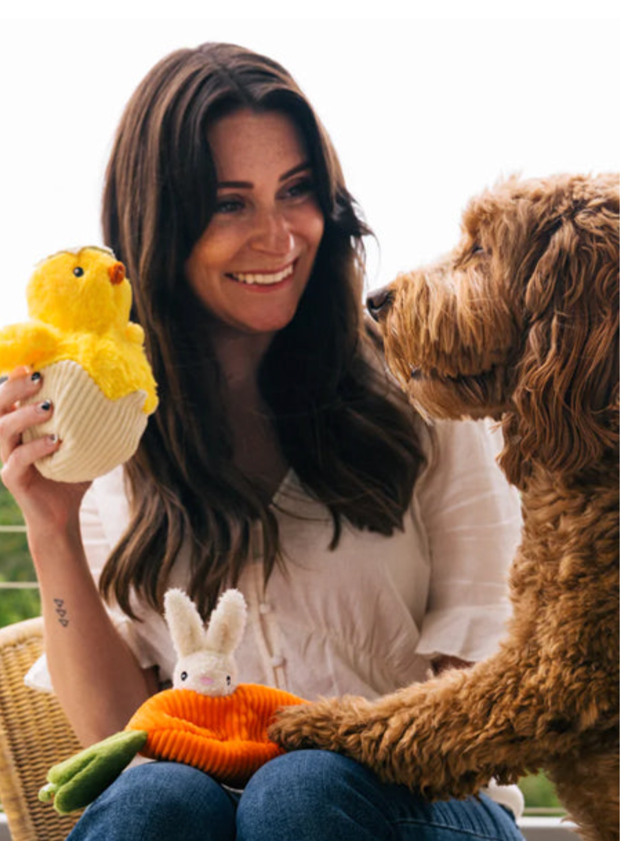 Peluche pour chien poussin dans son œuf - P.L.A.Y