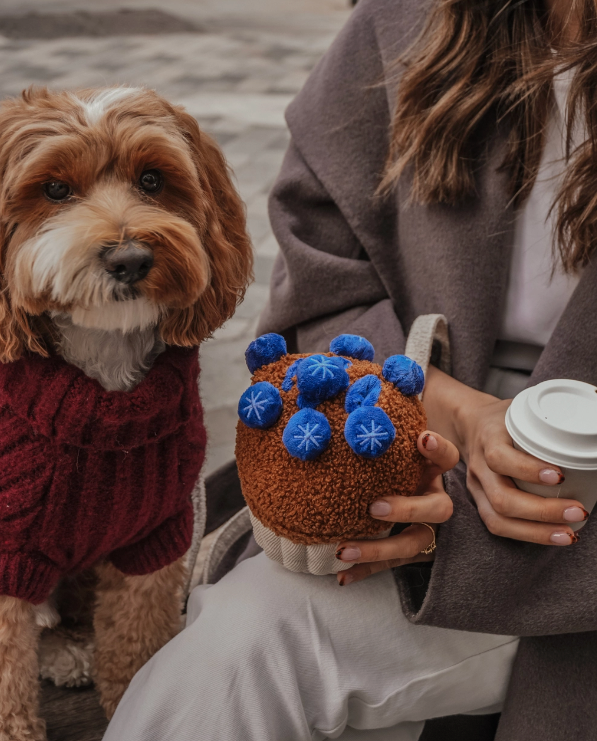 Jouet muffin aux myrtilles - By Teddy