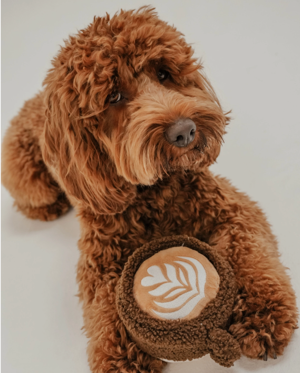 Jouet tasse Flat White - By Teddy