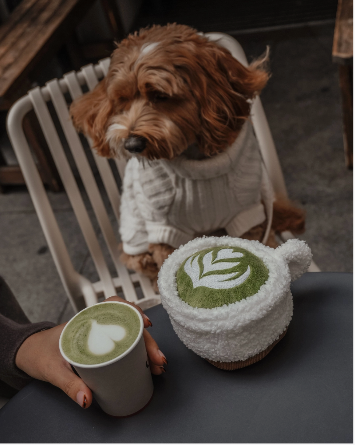 Jouet tasse de latte au matcha - By Teddy