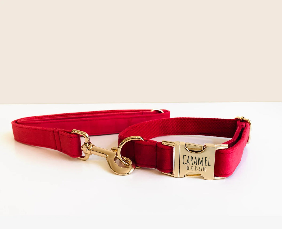 Laisse multiposition – Velours Rouge – Bandes de Canailles