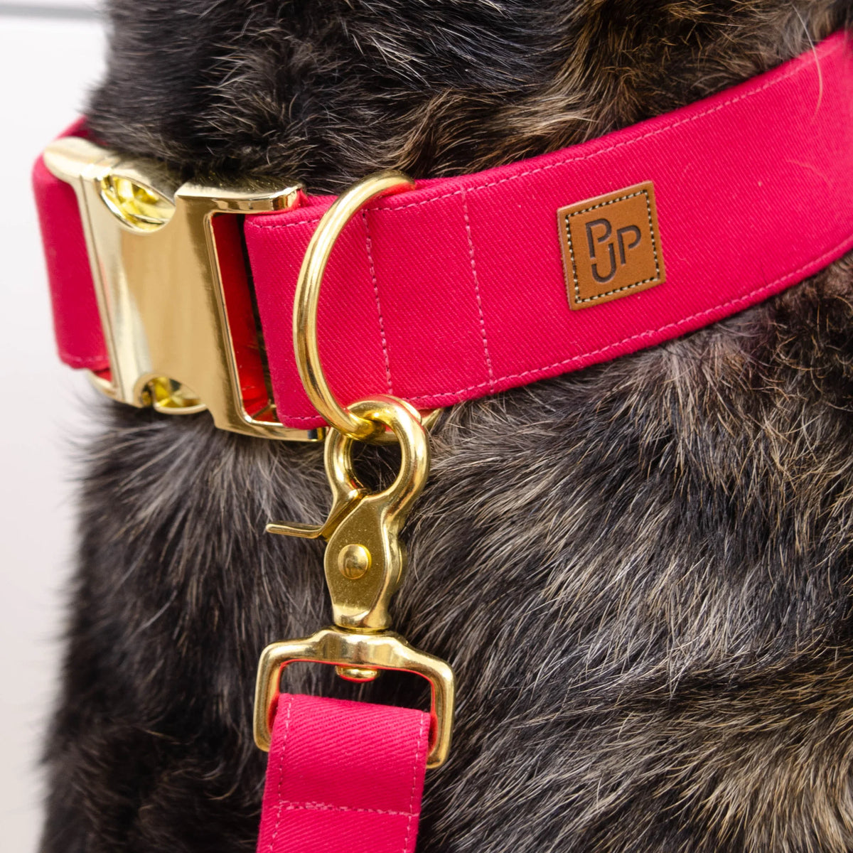 Laisse simple - Rose vif - Puddle Jumper Pups