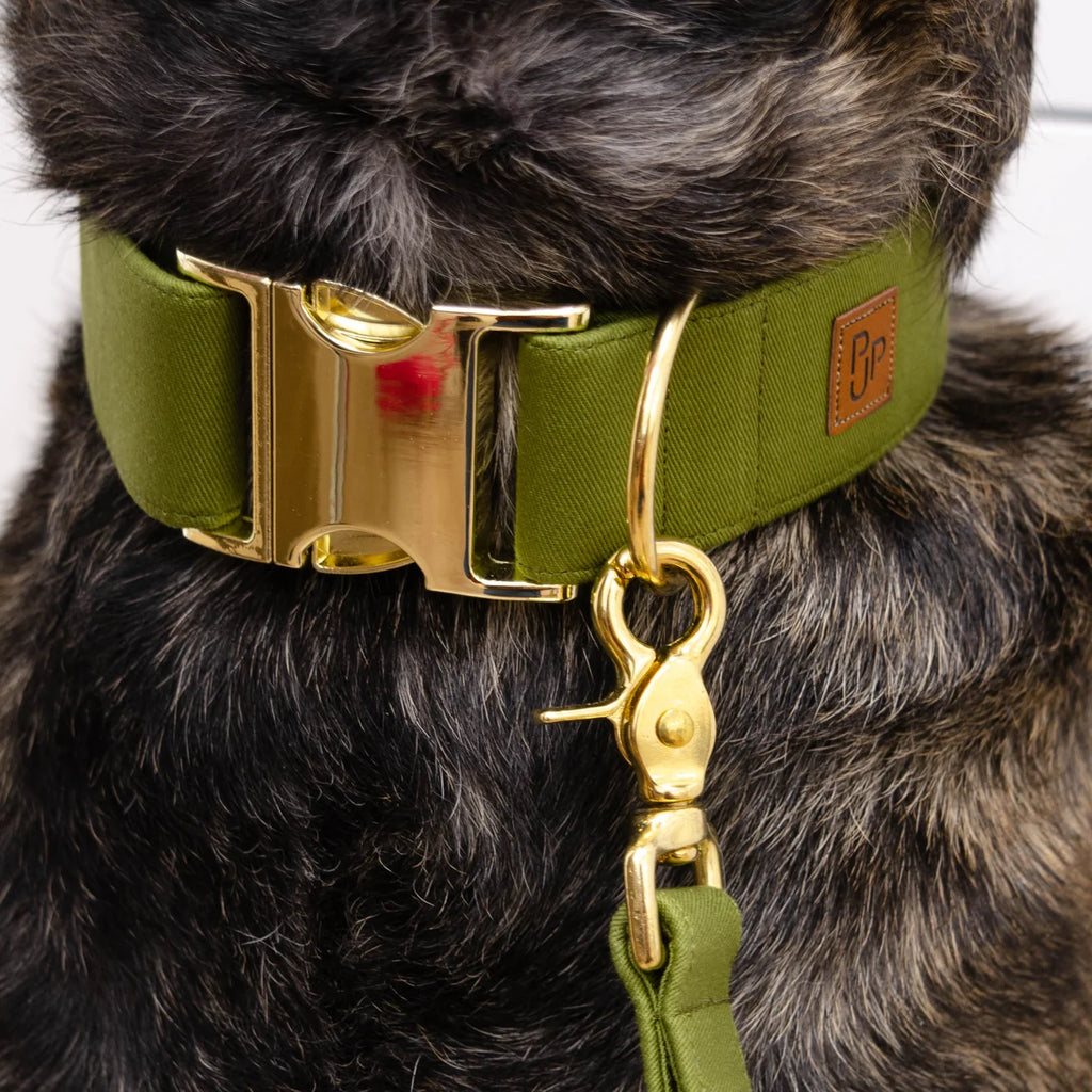 Collier signature - vert - Puddle Jumper Pups