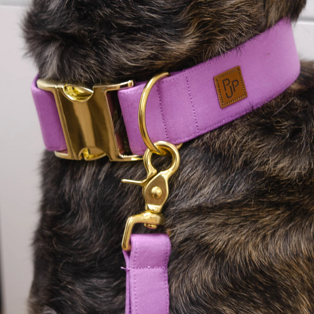 Laisse simple - Violet - Puddle Jumper Pups
