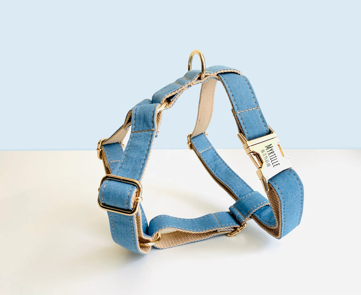 Harnais - Bleu jean - Bande de canaille