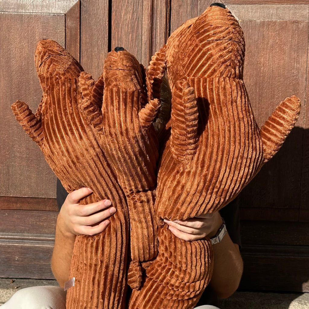 Coussin chien Teckel confort - Biche Dogshop