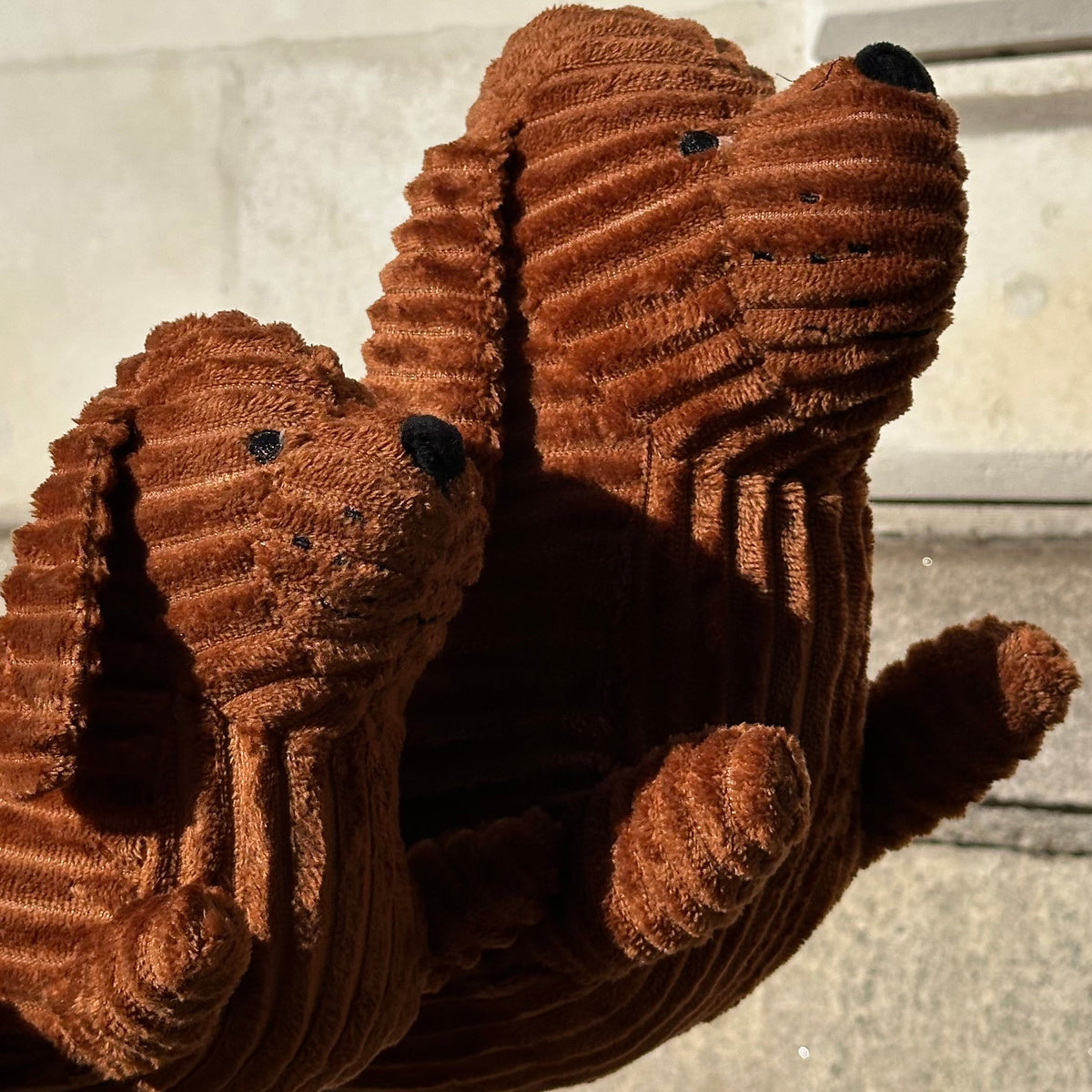 Coussin chien Teckel confort - Biche Dogshop